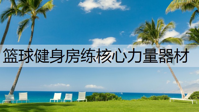 篮球健身房练核心力量器材