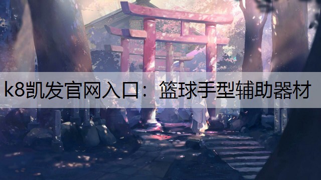 k8凯发官网入口：篮球手型辅助器材