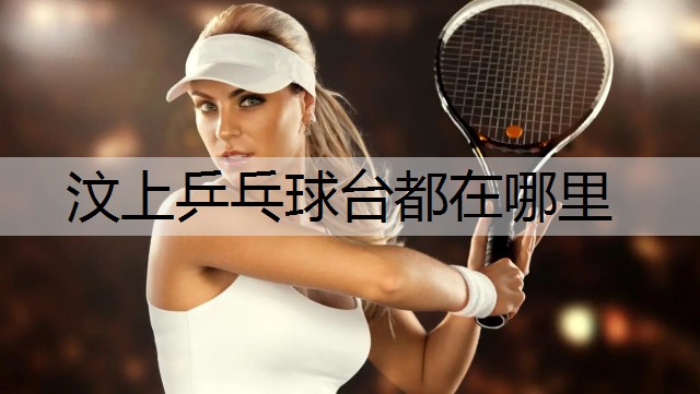 汶上乒乓球台都在哪里