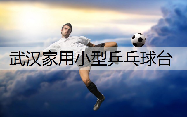 武汉家用小型乒乓球台