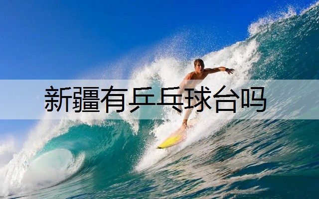 新疆有乒乓球台吗