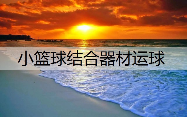 小篮球结合器材运球