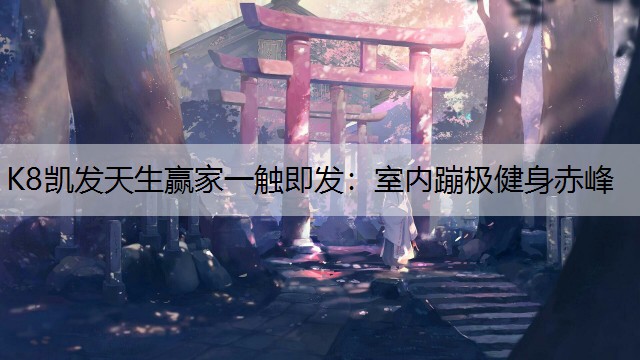 K8凯发天生赢家一触即发：室内蹦极健身赤峰