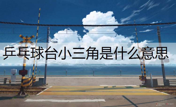 乒乓球台小三角是什么意思