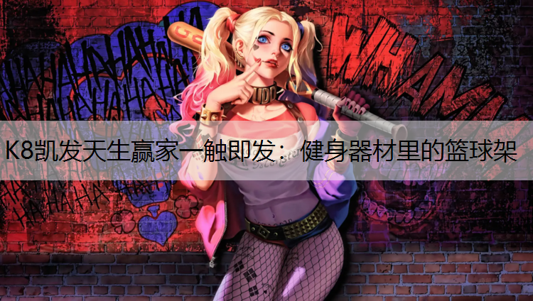 K8凯发天生赢家一触即发：健身器材里的篮球架