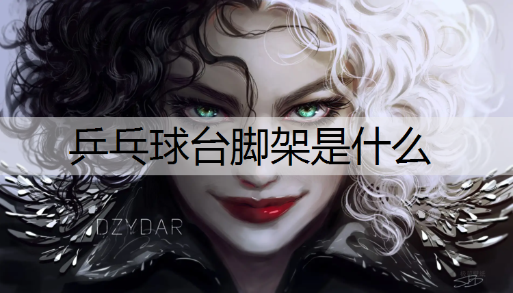 乒乓球台脚架是什么