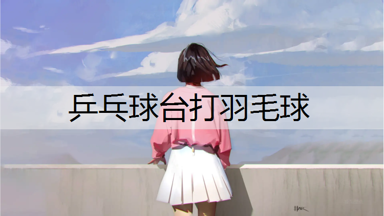 乒乓球台打羽毛球