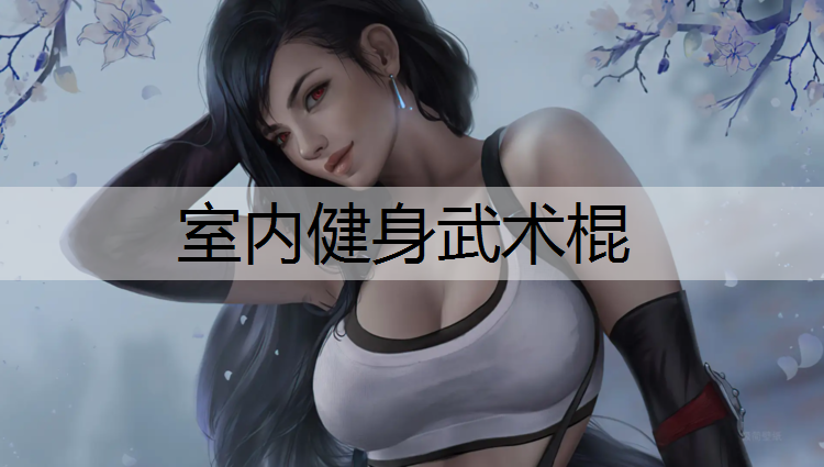 室内健身武术棍