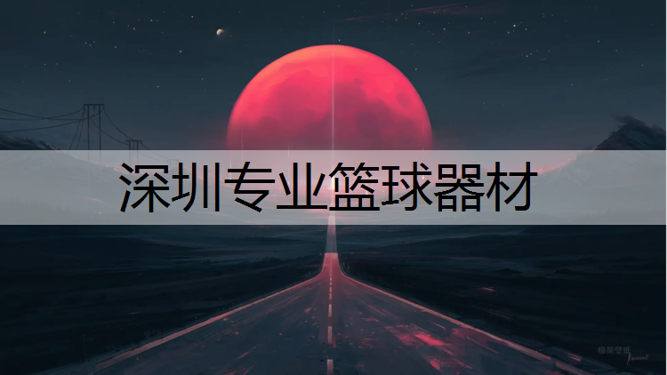深圳专业篮球器材
