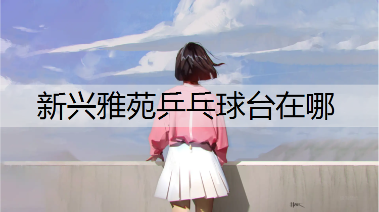 新兴雅苑乒乓球台在哪