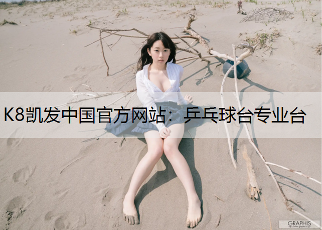 K8凯发中国官方网站：乒乓球台专业台