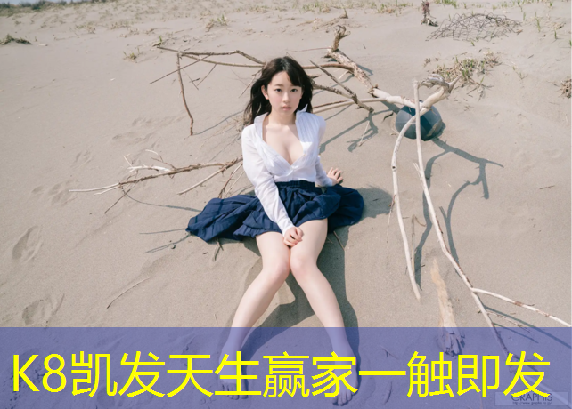 k8凯发官网入口：株洲网球网采购公告