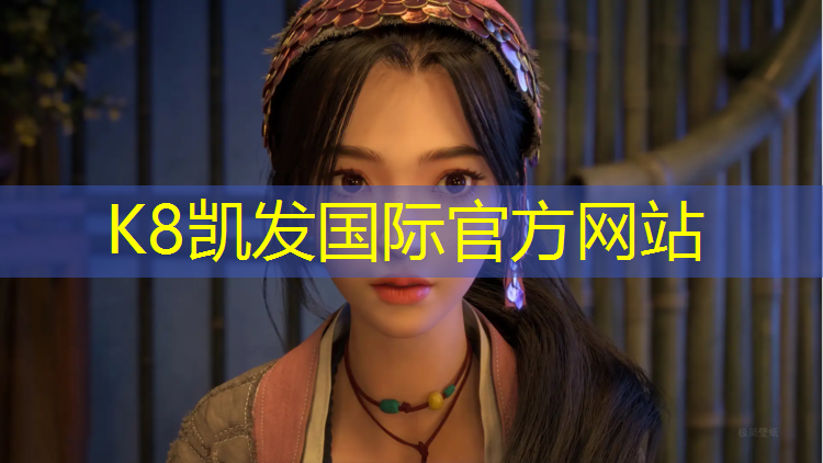 K8凯发：室内用网球网