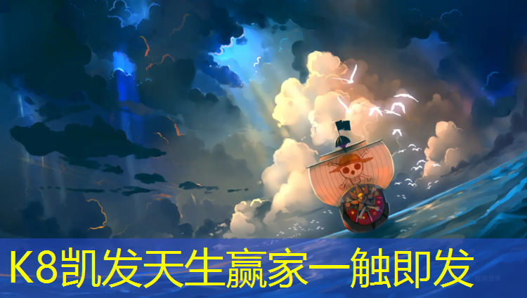 K8凯发中国官方网站：体操垫什么海绵好用的