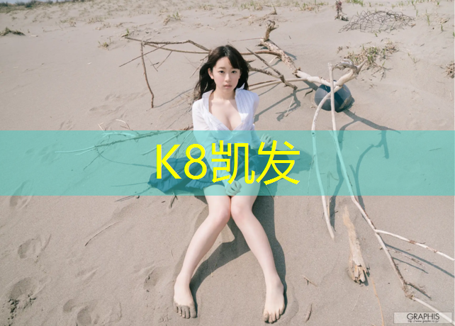 K8凯发国际官方网站：青海网球网定做