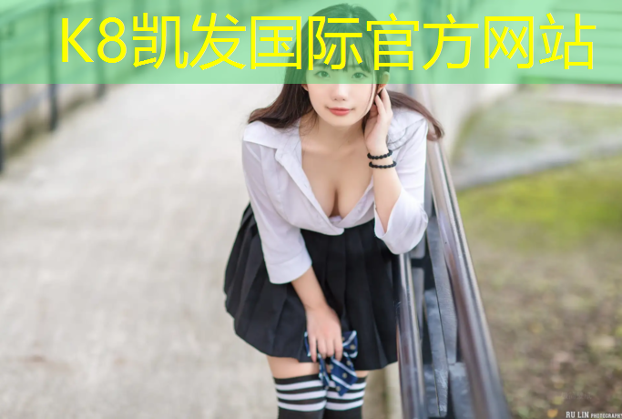 K8凯发：邵阳专业网球网