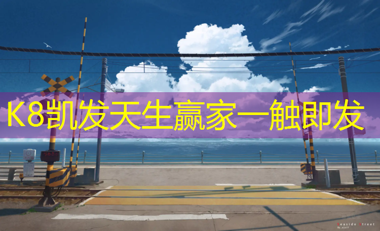 K8凯发：宿迁金鹰北塑胶跑道
