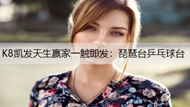 琵琶台乒乓球台