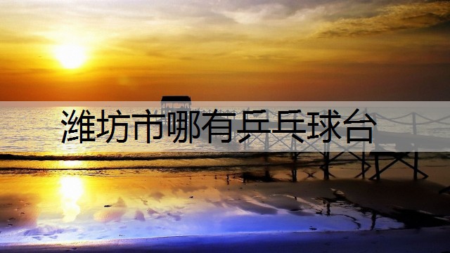 潍坊市哪有乒乓球台
