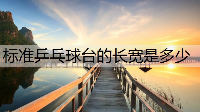 标准乒乓球台的长宽是多少