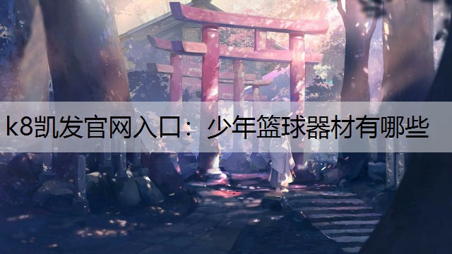 少年篮球器材有哪些