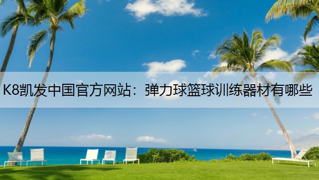 弹力球篮球训练器材有哪些