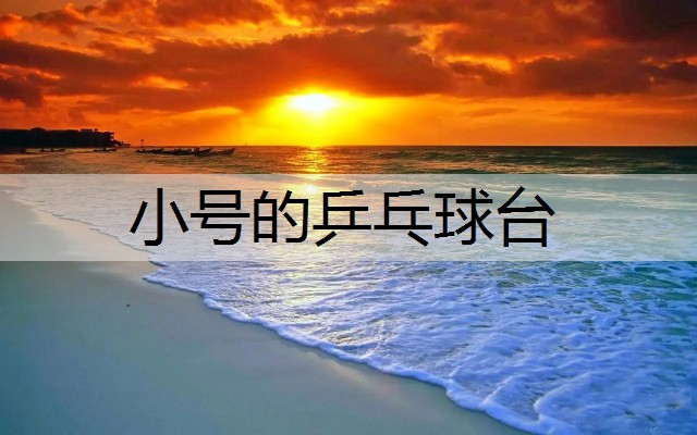 小号的乒乓球台