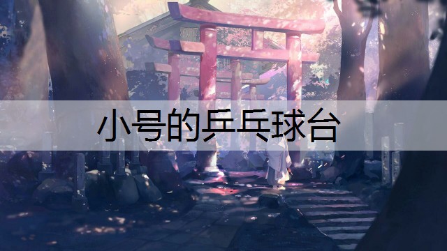 小号的乒乓球台