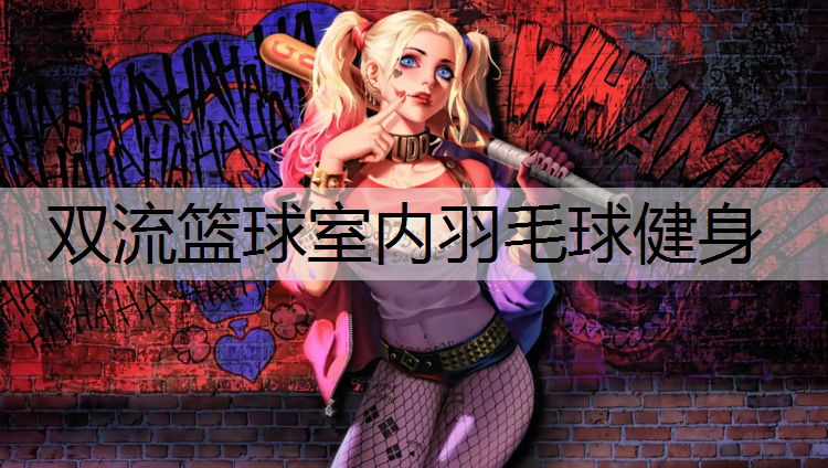 双流篮球室内羽毛球健身