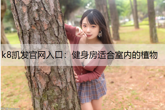 健身房适合室内的植物