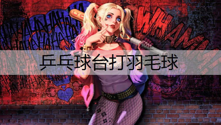 乒乓球台打羽毛球