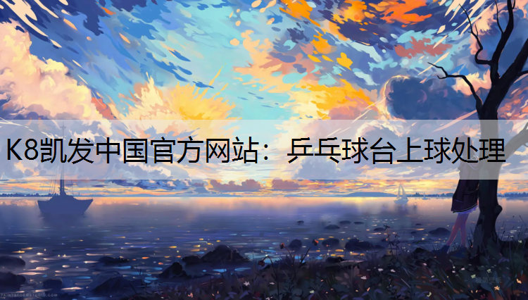 乒乓球台上球处理