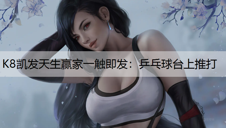 乒乓球台上推打