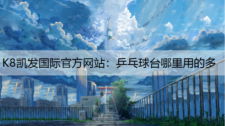 乒乓球台哪里用的多