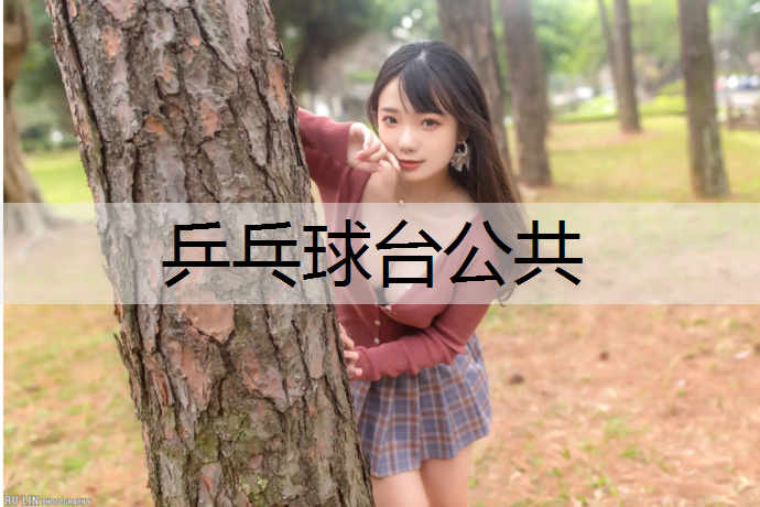 乒乓球台公共