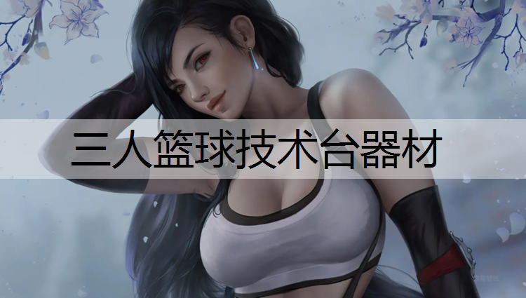 三人篮球技术台器材 三人篮球技术台器材