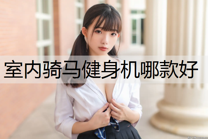 室内骑马健身机哪款好