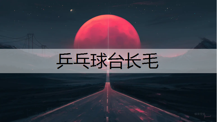 乒乓球台长毛