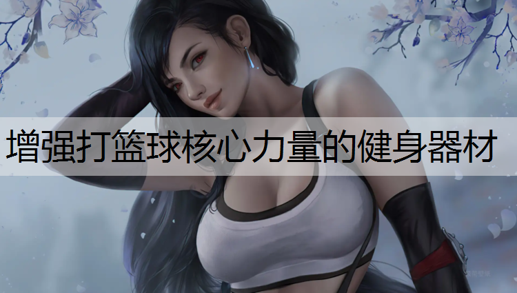 增强打篮球核心力量的健身器材