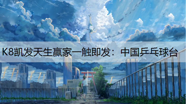 中国乒乓球台