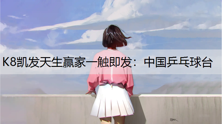 中国乒乓球台