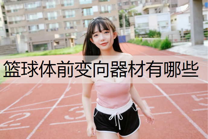 篮球体前变向器材有哪些