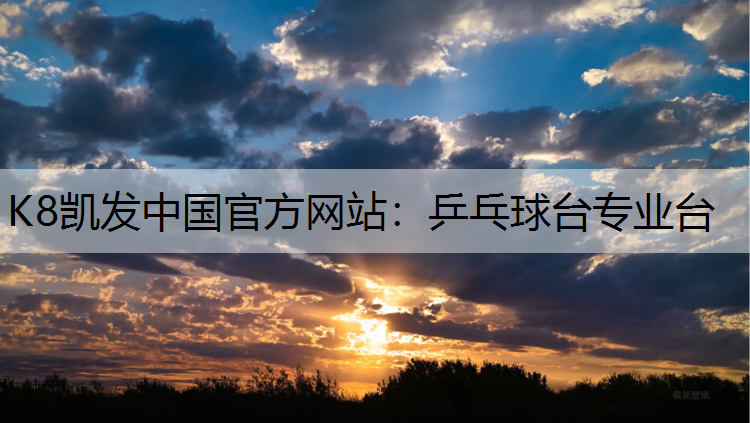 乒乓球台专业台